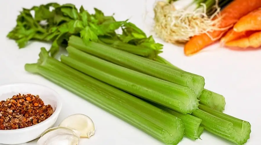 carbs calories in celery