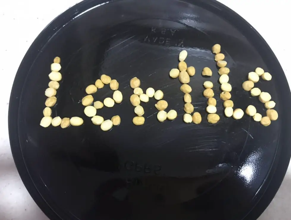 low carb lentils