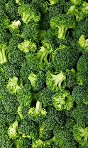 calories in broccoli