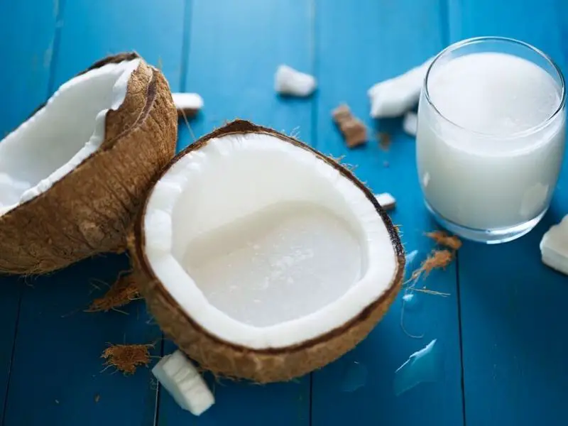 coconut milk is low carb