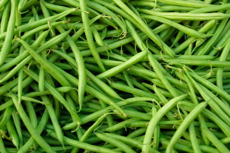 calories in green beans