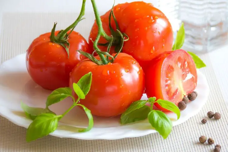 tomatoes calories