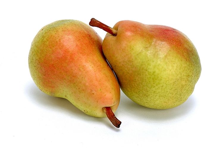 pears carbs