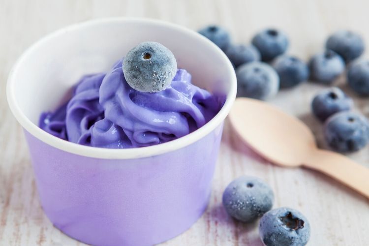 frozen yogurt calories